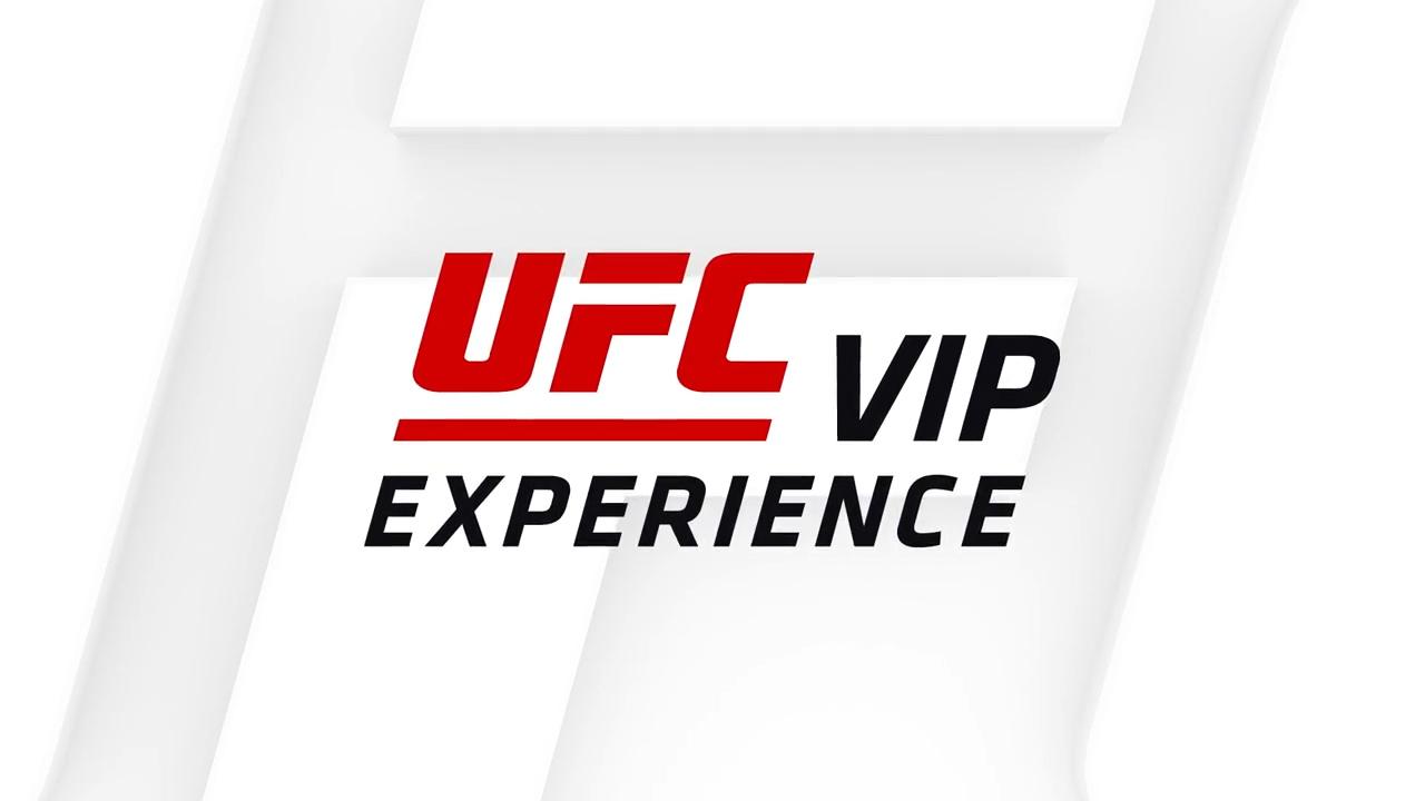UFC VIP Experience UFC